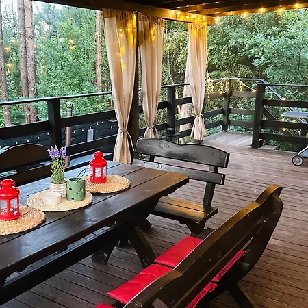 Lesniczowka Na Kaszubach - Do 12 Osob, Balia Na Wylacznosc * ゴウビエ