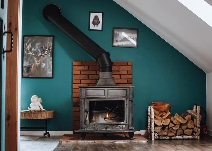 Lesniczowka Na Kaszubach - Do 12 Osob, Balia Na Wylacznosc Апартаменты *